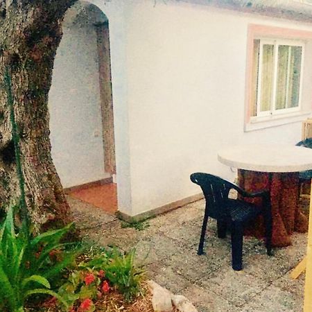 Olive Tree Apartments Rovigno Esterno foto